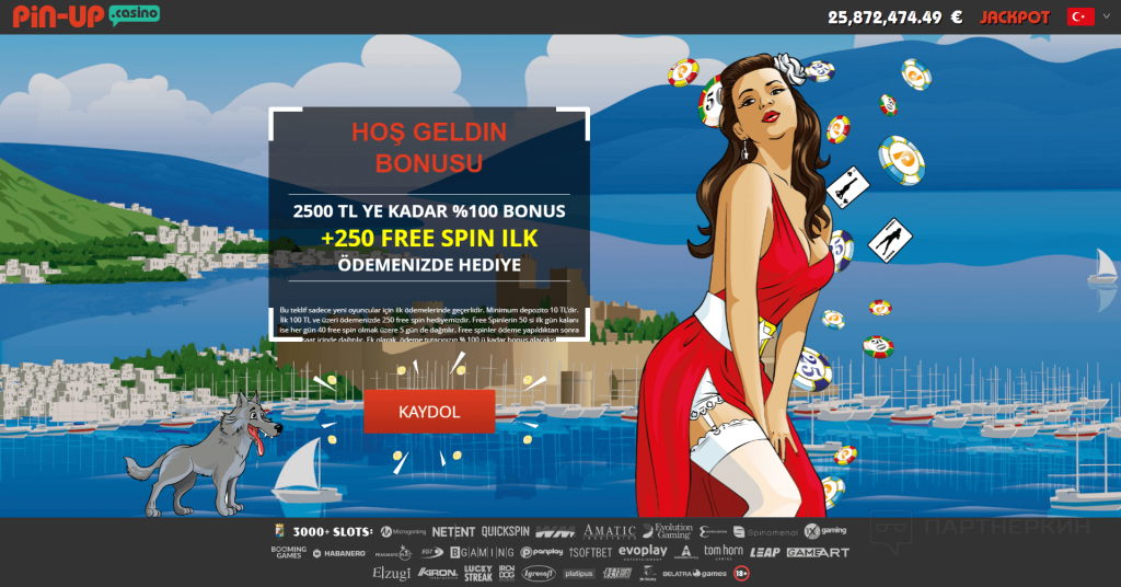 Pin up Casino desteği