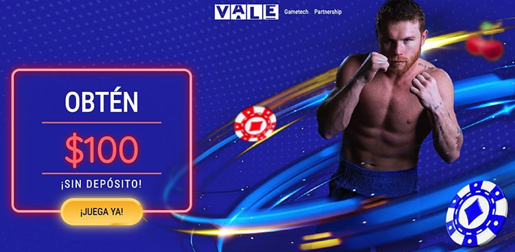 Casino Vale İncelemesi: Kalite ve Erişilebilirlik